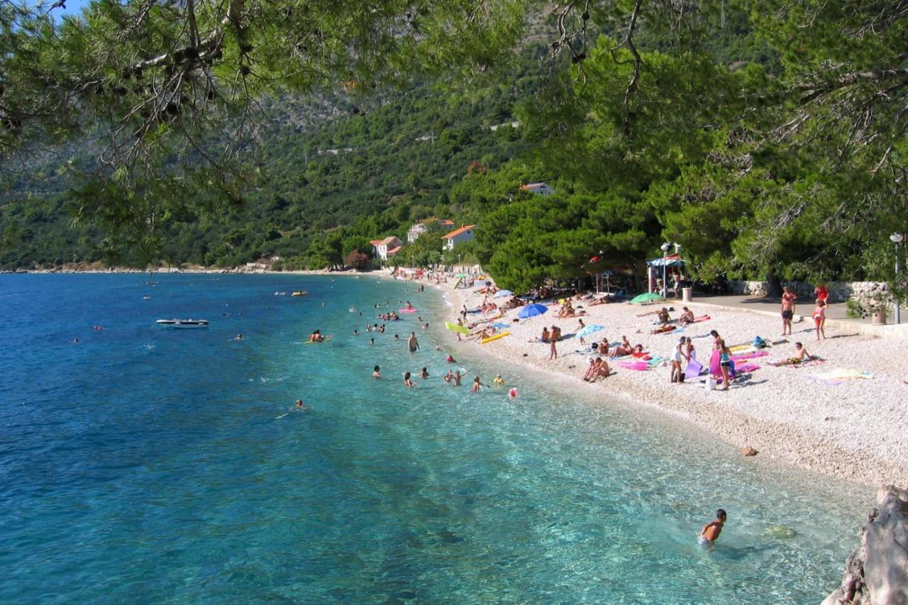 Apartments By The Sea Zivogosce - Porat, Makarska - 20207 Igrane Extérieur photo